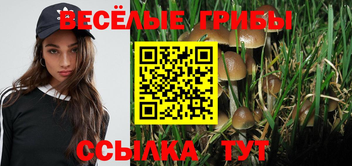 Кохма  Галлюциногенные грибы Psilocybe  Вход с VPN 