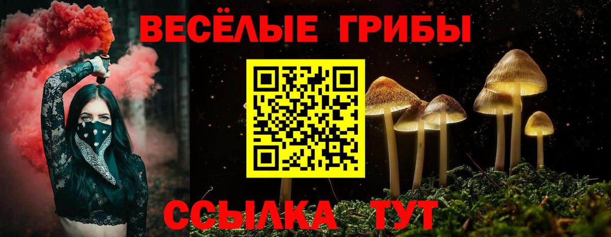 Галлюциногенные грибы ЛСД Кохма